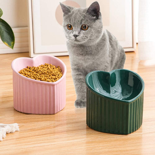 Tilted Elevated Food or Water Bowls